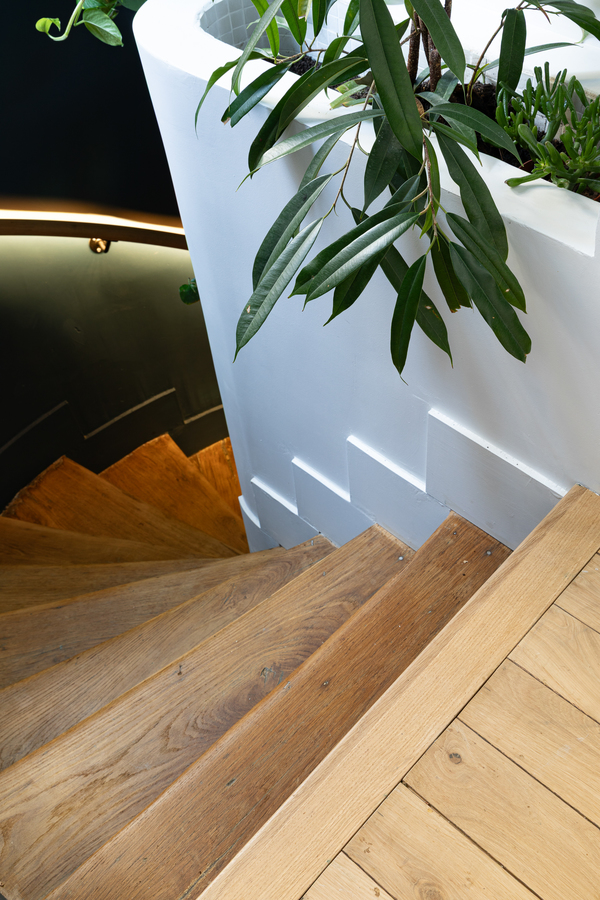 https://media.laparqueterienouvelle.fr/cache-buster-2-1746781335/website/var/tmp/image-thumbnails/20000/22595/thumb__magento_equigrid_v/parquet-chene-massif-point-ardennes-vieilli-lucca-elegence-chants-brules-st-louis-s181-10_laparqueterienouvelle_2800.jpeg